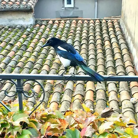 Maison De Maitre A # Jacuzzi * Bram