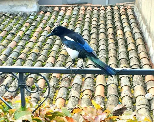 Maison De Maitre A # Jacuzzi * Bram